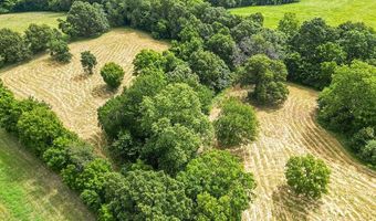 6269 E State Highway 76, Anderson, MO 64831