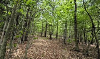 Stewart Road, Addison, NY 14801