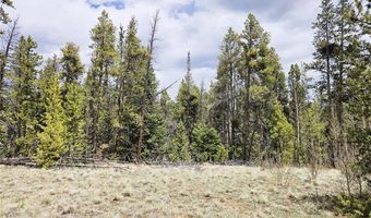 700 Looney Ln Lot 0, Alma, CO 80420