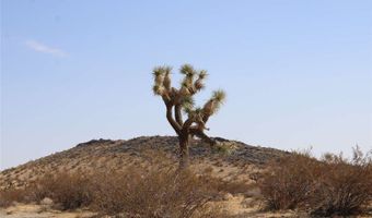 20 Lessing Ave, Adelanto, CA 92301