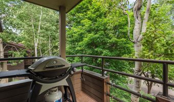 925 E DURANT Avenue 2, Aspen, CO 81611