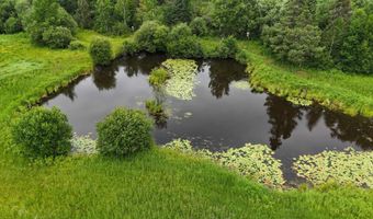 8800 Hwy 73, Angora, MN 55723