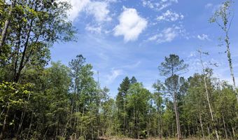 301 C1, Brooklyn, MS 39425