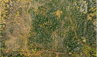 Xxx Highway 11, International Falls, MN 56649