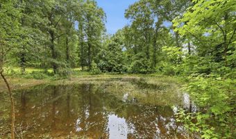 1130 Lyons Rd, Bolton, MS 39041