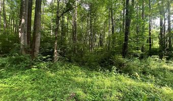 Lot 8 Collett Creek Road, Andrews, NC 28901