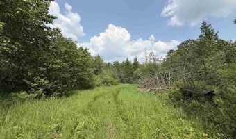 TBD Samuelson Road-Sec22, Angora, MN 55703