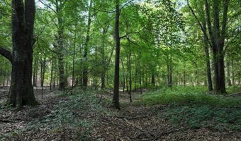 Highway 112, Abbeville, GA 31001