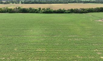 290 CR, Asbury, MO 64832