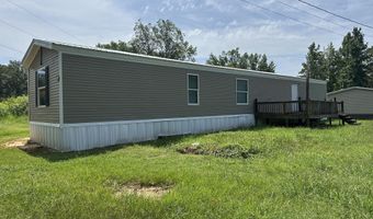 1113 County Road 196, Blue Springs, MS 38828