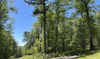 TALLMAN HOLLOW ROAD, Montoursville, PA 17754
