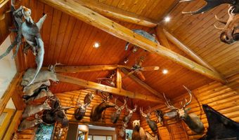 9774 68th Ave, Allendale, MI 49401