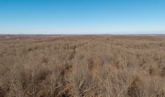 Tuska Drive, Ash Flat, AR 72513