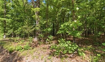 210 County Road 320, Alton, MO 65606