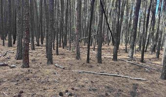 Alamosa Terrace lot 929, Angel Fire, NM 87710