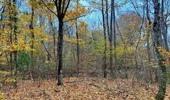 HWY 9, Bruce, MS 38915