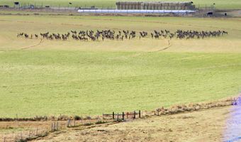 24950 Hwy. 93, Challis, ID 83226