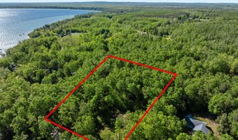 9707 Rogers Rd, Alanson, MI 49706