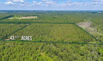 43 5 +/- A Old River Rd, Baker, FL 32531