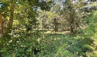 2672 Big Fork Rd, Barnwell, SC 29812
