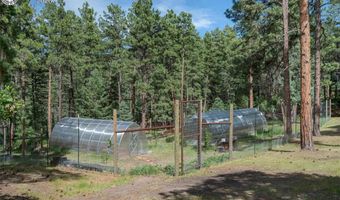 8912 S Pine Dr, Beulah, CO 81023