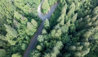 N Dubois Rd, Ariel, WA 98603