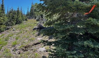 115 S Olympic Dr, Brian Head, UT 84719