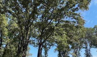 744 County Road 1513, Alba, TX 75410