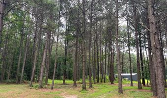 29028 BLACK PEPPER Ln, Georgetown, DE 19947
