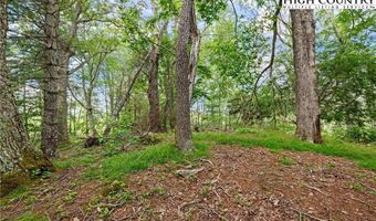 Lot 41 White Fox Lane, Banner Elk, NC 28604