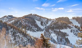 990 E Hopkins Ave, Aspen, CO 81611