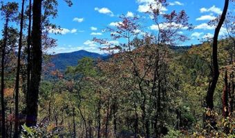 0 Mount Horeb Rd, Amherst, VA 24521