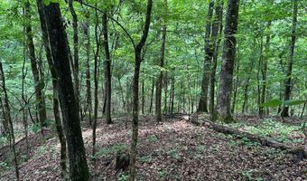 Sardis Lake Drive, Batesville, MS 38655