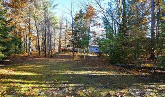 8990 PARK Ave, Alanson, MI 49706