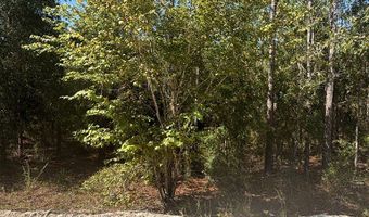 Lot 10 16th Ave, Bell, FL 32619