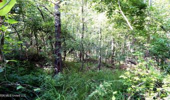 330 County Road 245, Abbeville, MS 38601