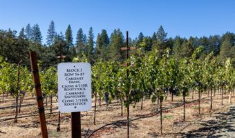 875 White Cottage Rd N, Angwin, CA 94508