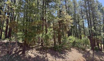 216 Fawn Dr, Bayfield, CO 81122