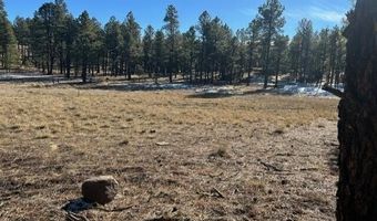 CR N2121, Alpine, AZ 85920