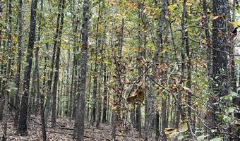 County Road 113 lot 1, Alton, MO 65606