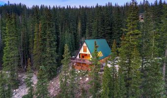 95 SETTELE Ln, Alma, CO 80420