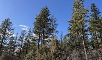 Badger Lane, Bonanza, OR 97623