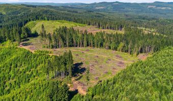 Tunnel Tract Parcel2, Banks, OR 97106