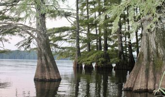 Bolivar Road, Benoit, MS 38725