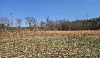 1827 Willis Gap Rd 104, Ararat, VA 24053