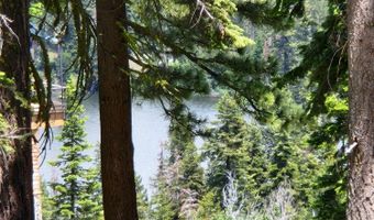 332 Snowshoe Rd, Bear Valley, CA 95223