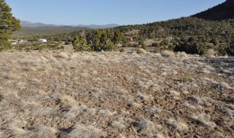20 County Road 3044, Concho, AZ 85924