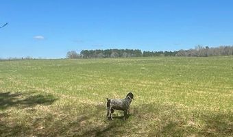 0 Tervin Mill Rd, Andalusia, AL 36421