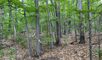 7 Beechwoods At Intervale Dr, Bartlett, NH 03812