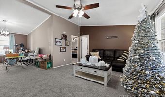 19 Morton Ln, Asheville, NC 28806